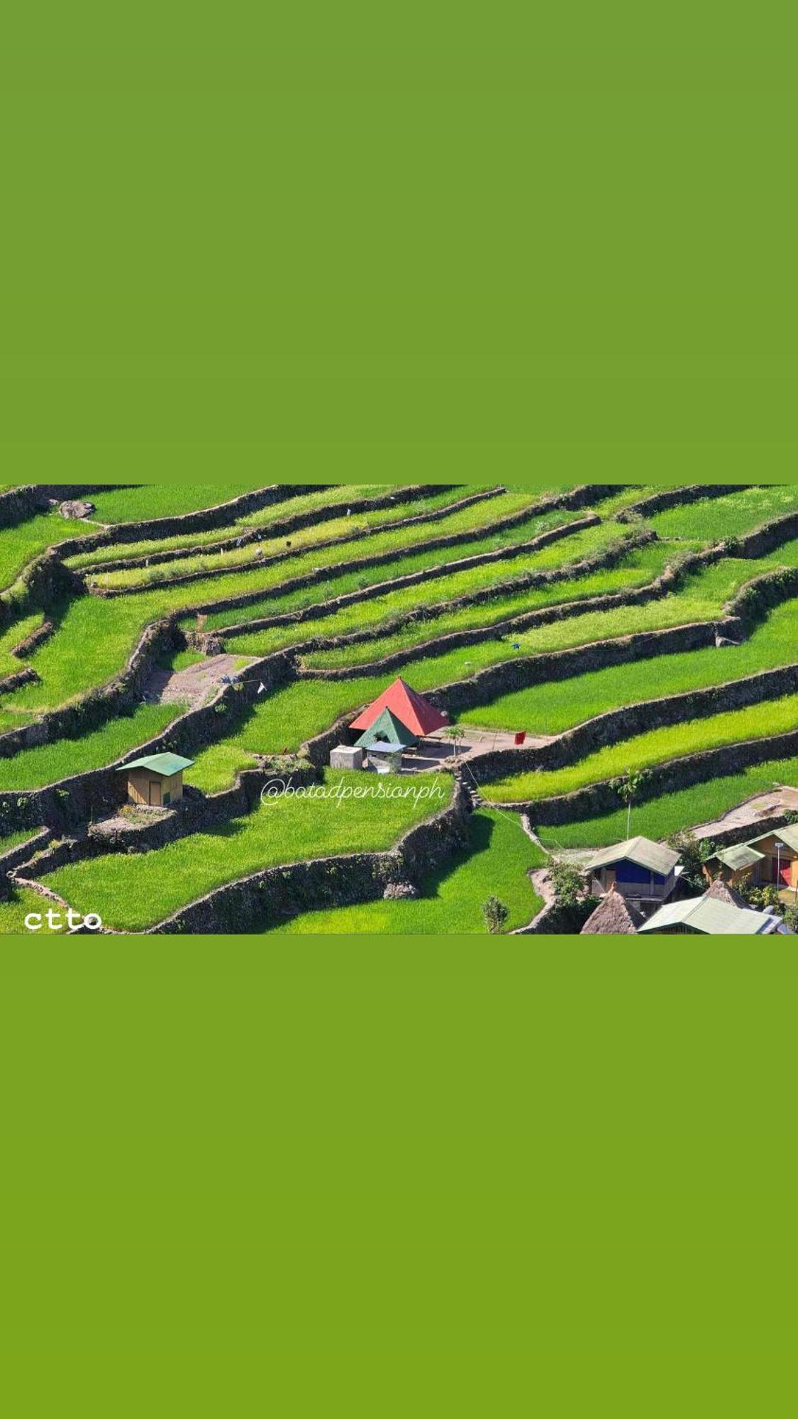Batad Pension Ph Banaue Exterior photo
