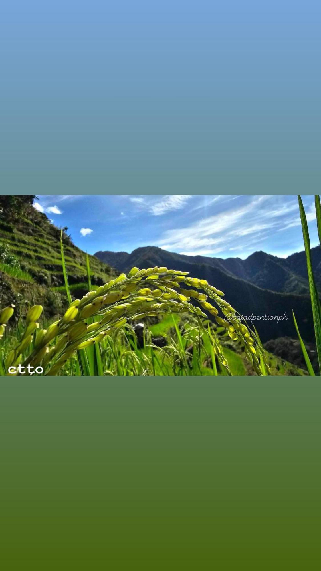 Batad Pension Ph Banaue Exterior photo